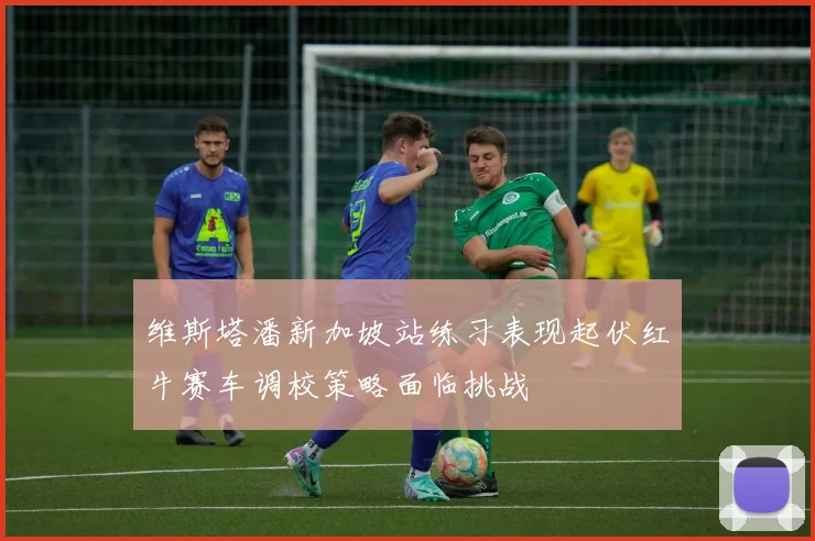 维斯塔潘新加坡站练习表现起伏红牛赛车调校策略面临挑战