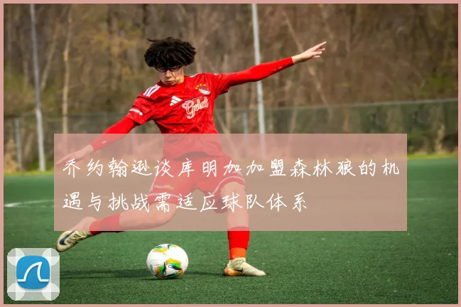 乔约翰逊谈库明加加盟森林狼的机遇与挑战需适应球队体系